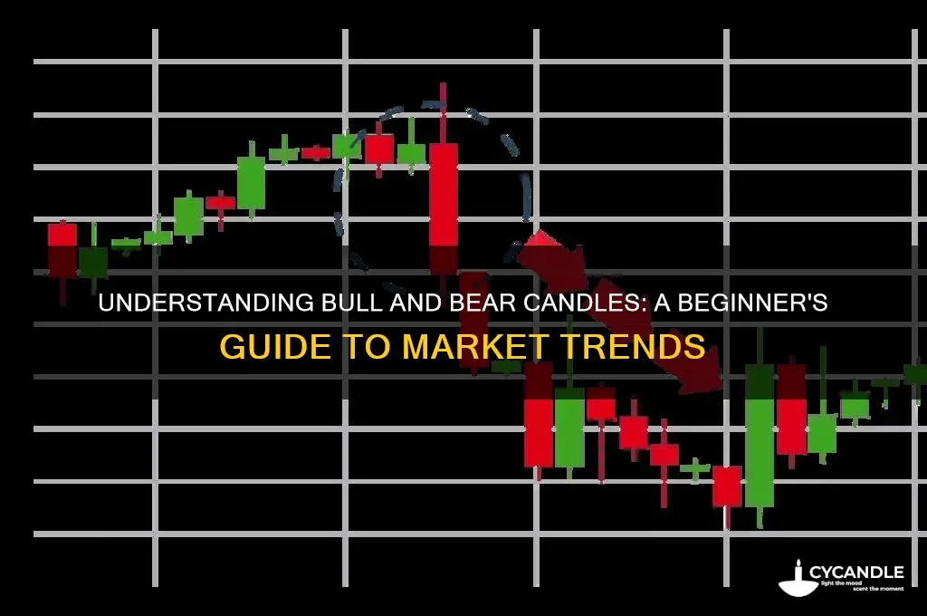 what is bull and bear candle