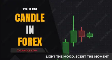 Understanding Bull Candles in Forex: A Comprehensive Guide for Traders