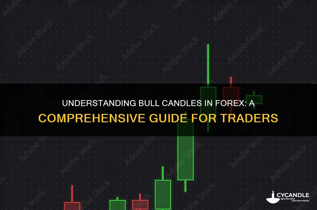 what is bull candle in forex