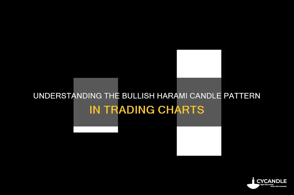 what is bullish harami candle pattern