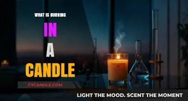 The Science Behind Candle Flames: What’s Really Burning?