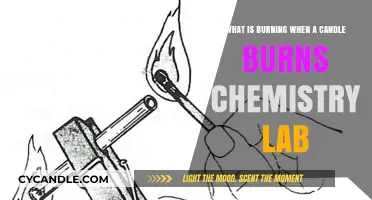 Candle Chemistry: Unraveling the Science Behind the Flame's Burn
