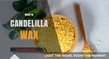 Unlocking the Secrets of Candelilla Wax: A Comprehensive Guide
