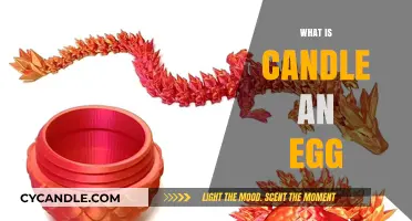 Unveiling the Mystery: What is a Candle and an Egg?
