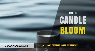 Understanding Candle Bloom: Causes, Prevention, and Care Tips