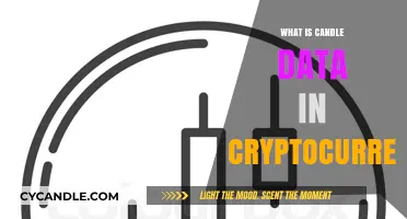 Understanding Candle Data: A Key to Cryptocurrency Market Analysis
