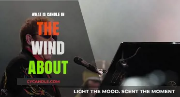 The Meaning Behind Elton John's Candle in the Wind