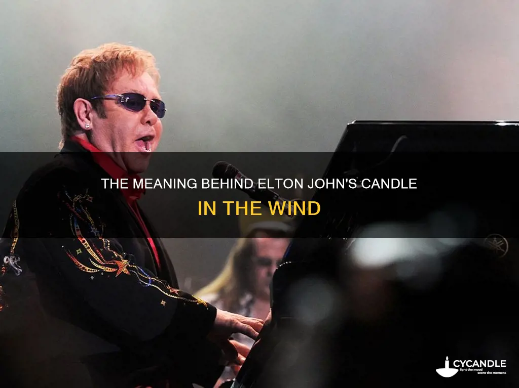 what is candle in the wind about