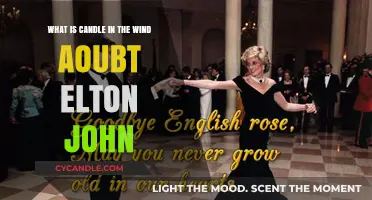 Candle in the Wind: Elton John's Tribute to Princess Diana