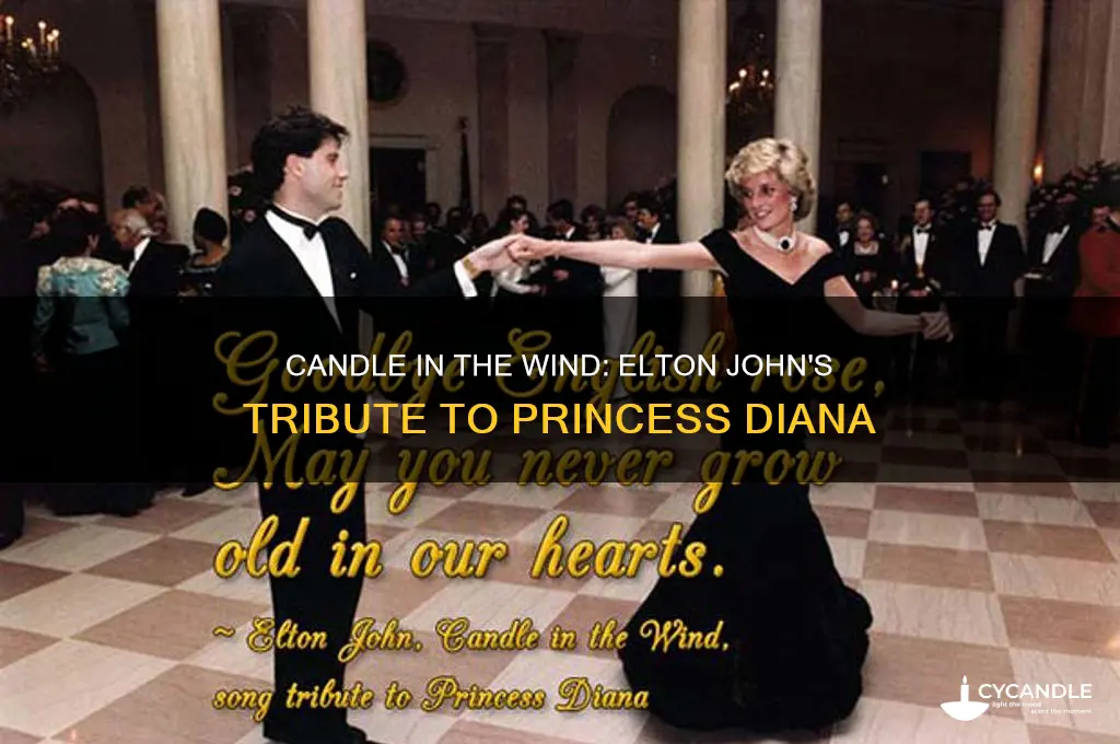 what is candle in the wind aoubt elton john