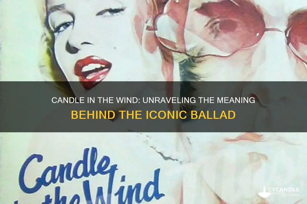 what is candle in the wind aoubt