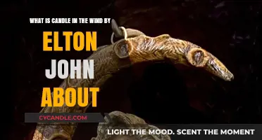 Candle in the Wind: Unraveling Elton John's Poignant Tribute