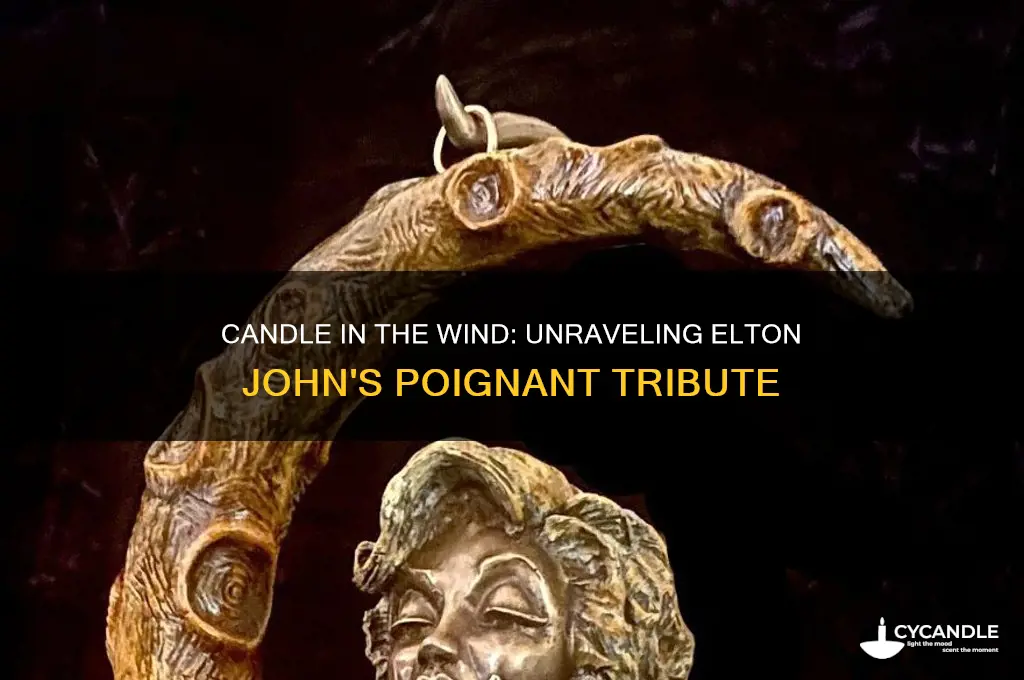 what is candle in the wind by elton john about