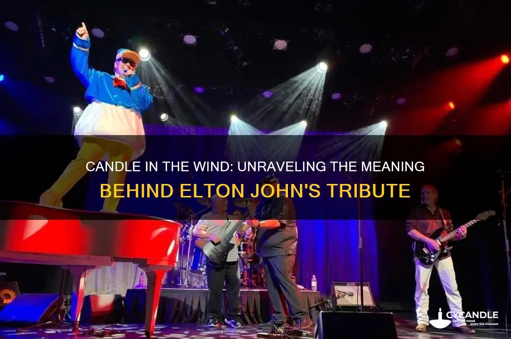 what is candle in the wind song about