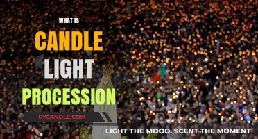 Understanding the Meaning and Tradition of Candlelight Processions