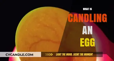 Candling Eggs: A Beginner's Guide to Checking Freshness and Quality