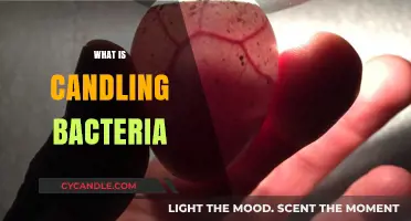 Understanding Candling Bacteria: Techniques, Uses, and Scientific Insights