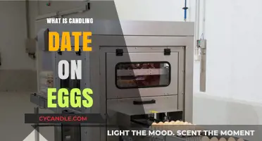Understanding the Candling Date on Eggs: A Beginner's Guide