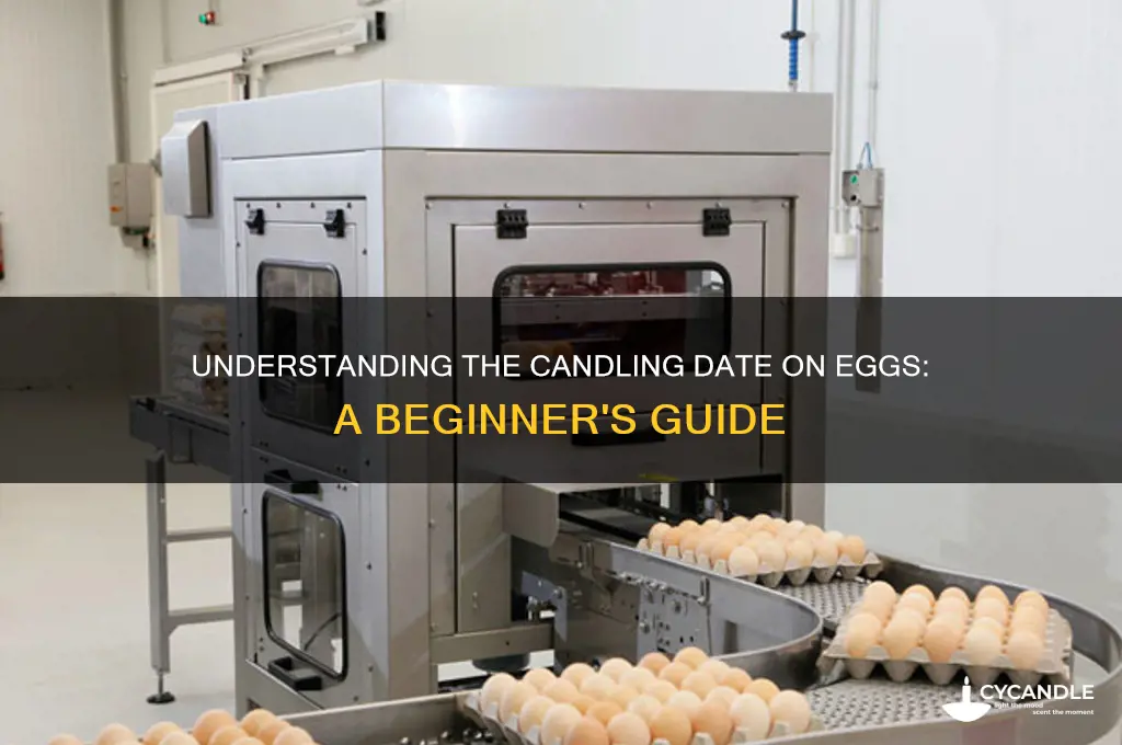 what is candling date on eggs
