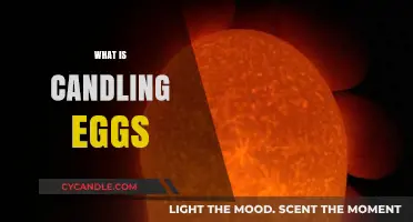 Candling Eggs: Shining a Light on Embryo Development