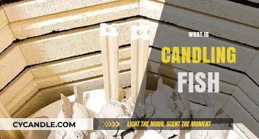 Understanding Candling Fish: Techniques, Benefits, and Ethical Considerations