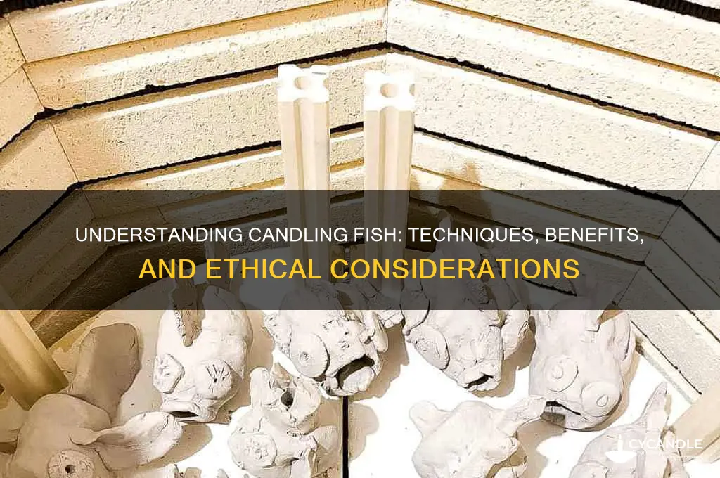 what is candling fish