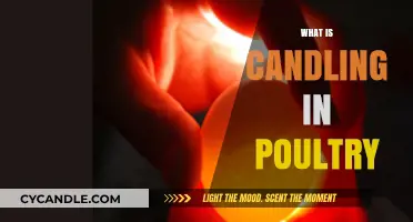 Understanding Candling in Poultry: Techniques, Benefits, and Best Practices
