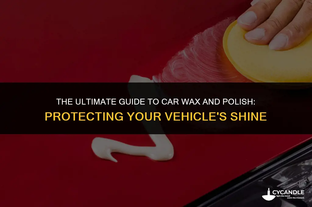 what is car wax and polish