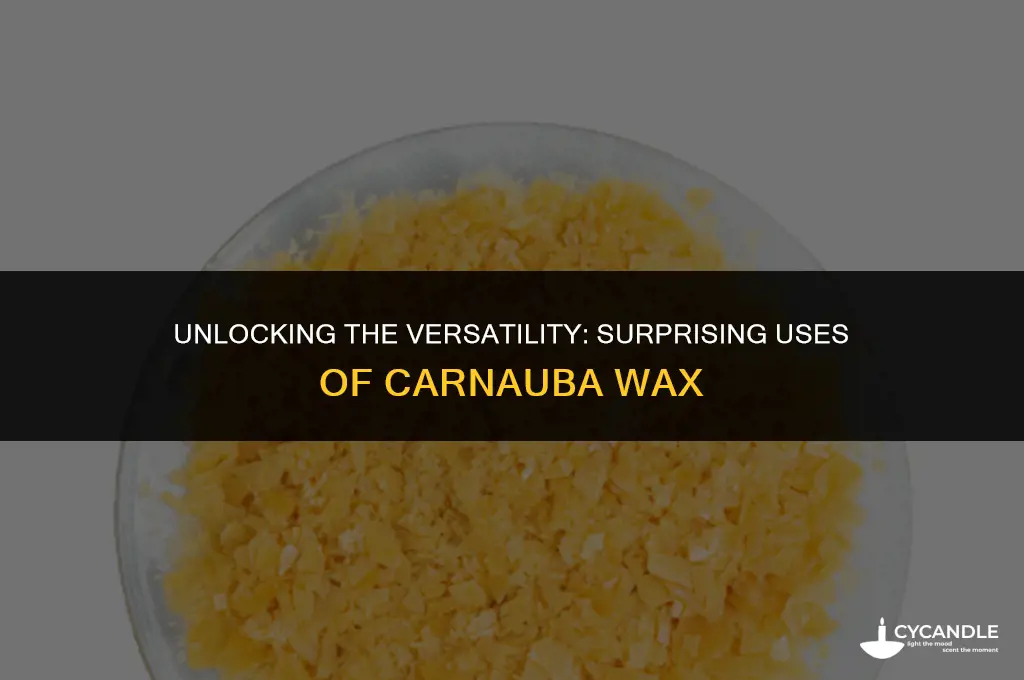 what is carnauba wax used for