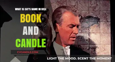Unveiling the Cat's Name in Bell, Book, and Candle: A Magical Mystery