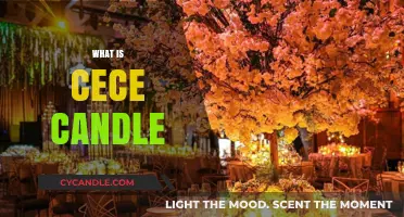 Discover the Enchanting World of Cece Candles: A Complete Guide