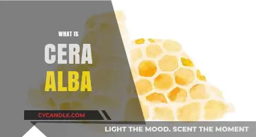 Understanding Cera Alba: Benefits, Uses, and Natural Properties Explained