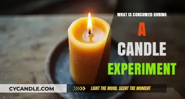 Exploring Candle Experiment Essentials: What Substances Are Consumed?