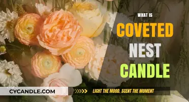 Coveted Nest Candle: Unveiling the Luxury Scent Experience You Crave