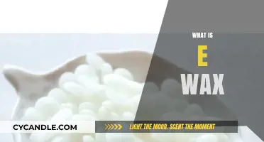 Exploring the Innovative World of E-Wax Technology