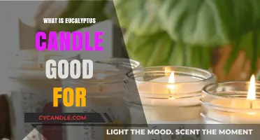 Eucalyptus Candle Benefits: Relaxation, Respiratory Health, and Aromatherapy Uses