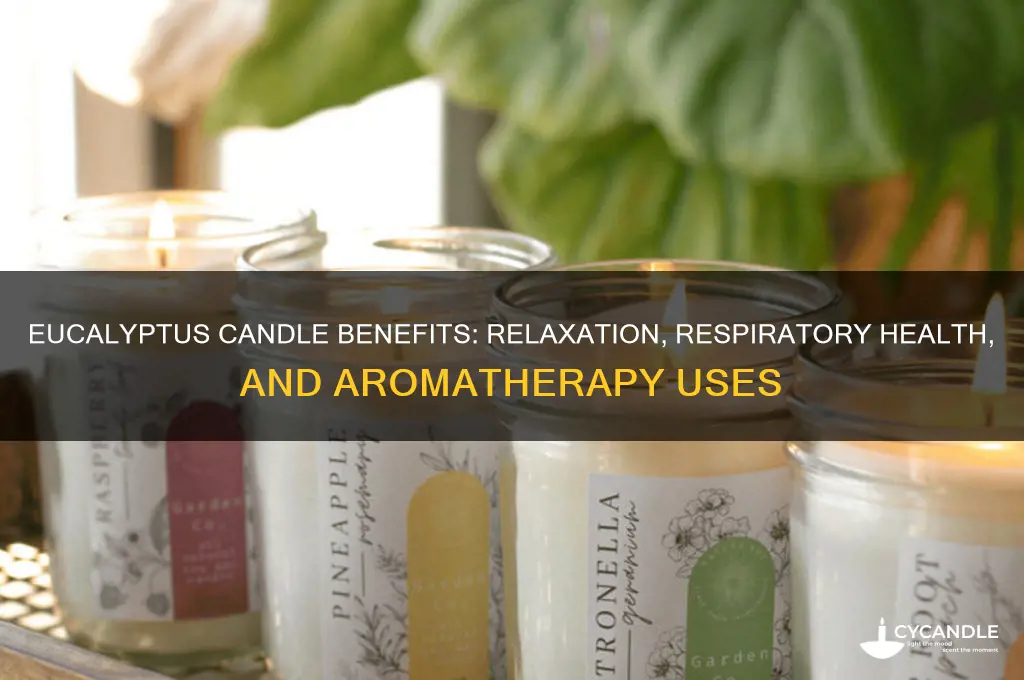 what is eucalyptus candle good for