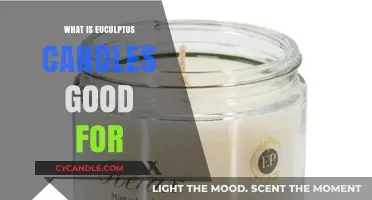 Eucalyptus Candles: Benefits, Uses, and Aromatherapy for Relaxation and Wellness