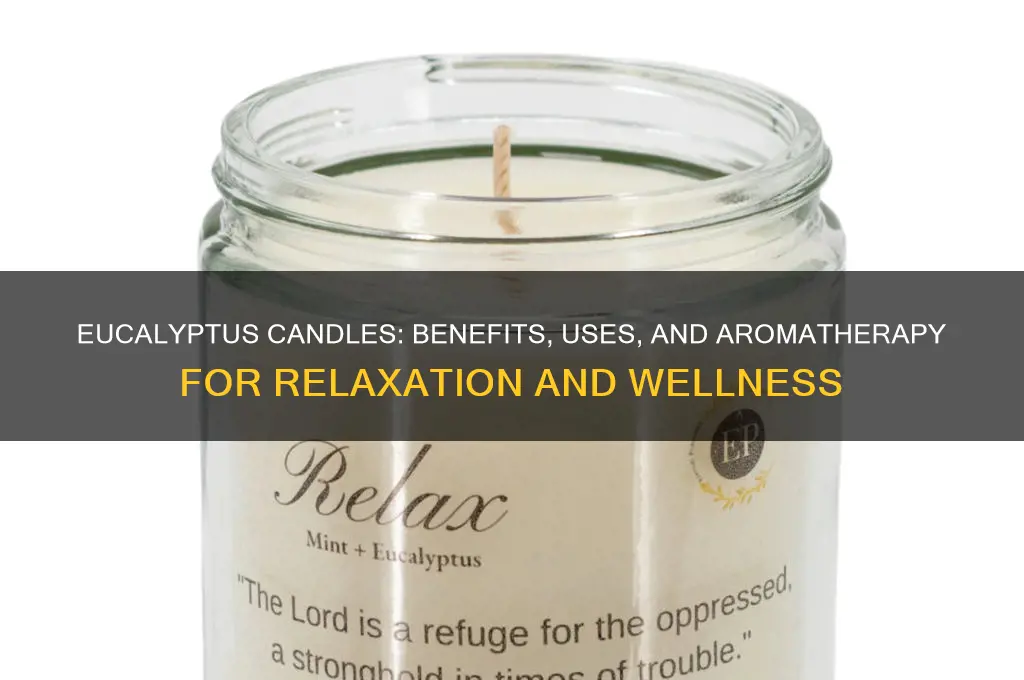 what is euculptus candles good for