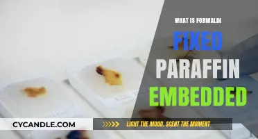 Understanding Formalin-Fixed Paraffin-Embedded Tissue Preparation in Pathology