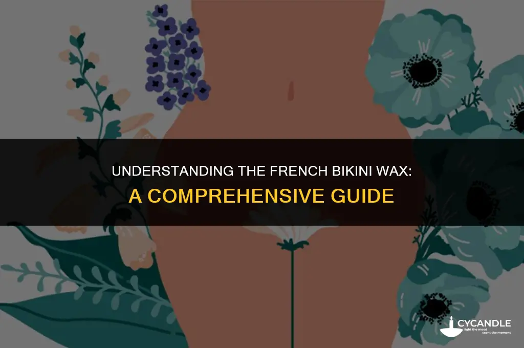 what is french bikini wax