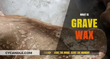 Unveiling the Mysteries of Grave Wax: An In-Depth Exploration
