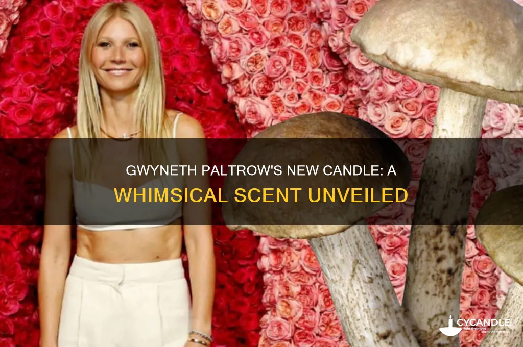 what is gwyneth paltrow