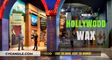 Unveiling the Magic: Inside Hollywood's Famous Wax Museum