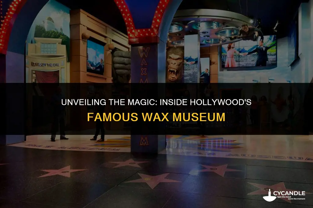what is hollywood wax