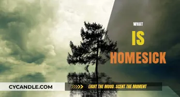 Homesickness: The Pain of Missing Home
