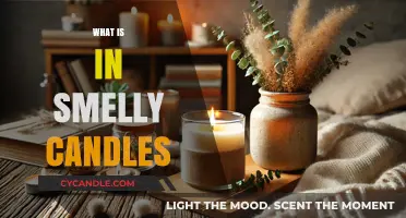 Unveiling the Secrets: What’s Inside Those Smelly Candles?