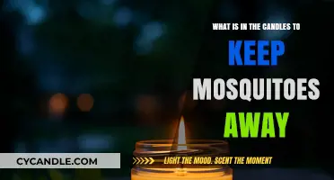 Natural Mosquito Repellent Candles: Ingredients That Keep Bugs at Bay