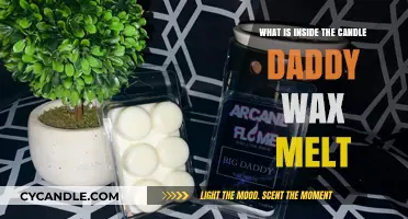 Unveiling the Scented Secrets: Inside Candle Daddy Wax Melts