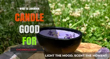 Lavender Candles: Benefits, Uses, and Aromatherapy for Relaxation and Wellness